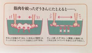 リンパケアと筋肉の仕組みを使って頑張らないケア方法